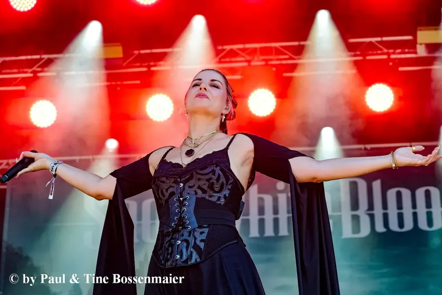Bild 8