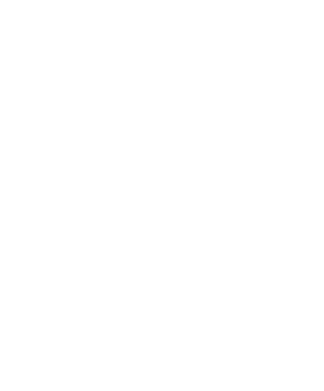 Trinkhorn Waldems