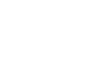 Sponsor