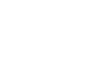 Wandguru